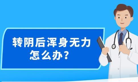 关于新澳精准资料的免费获取与潜在风险探讨