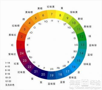 澳门天天彩期期精准单双波色——揭示背后的真相与风险