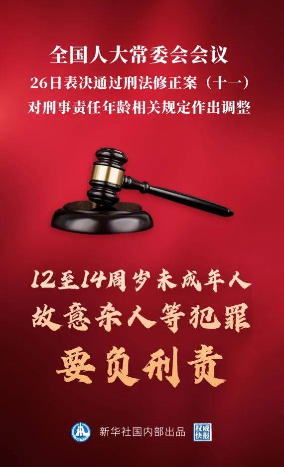 澳门正版精准免费大全，揭示违法犯罪问题的重要性