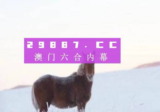 澳门今晚最准一肖一码，揭示背后的风险与挑战