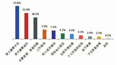 新澳历史开奖最新结果查询今天，探索与解读