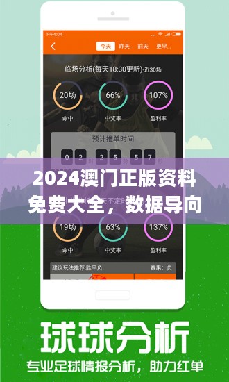 关于2024年王中王澳门免费大全的探讨与警示