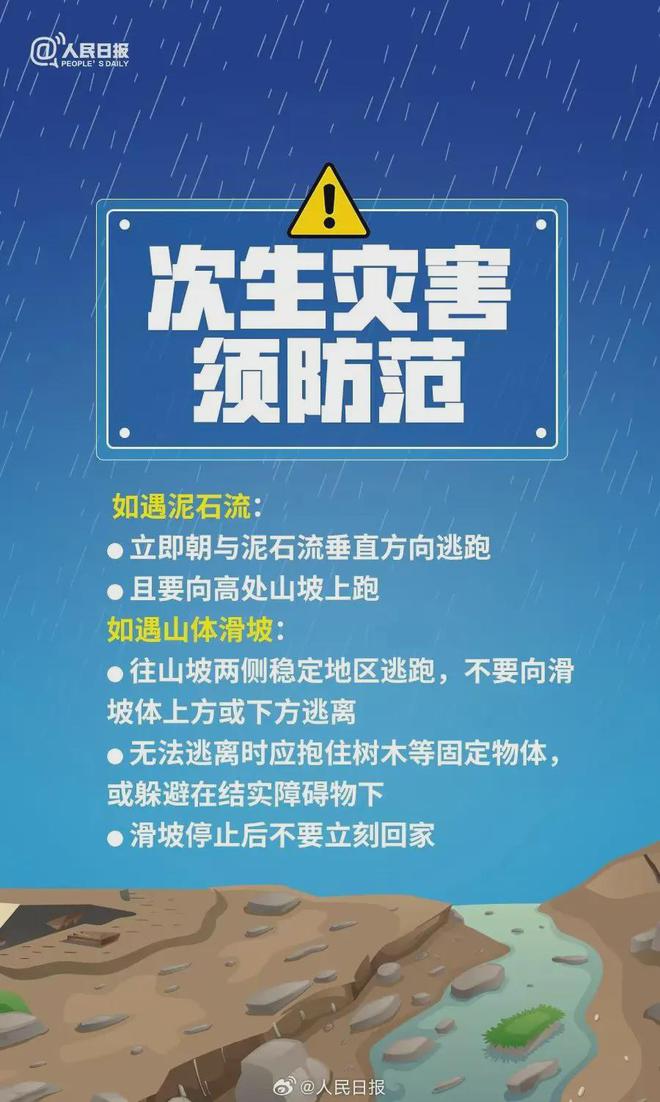 澳门精准正版免费大全14年新，揭示犯罪风险与应对之策