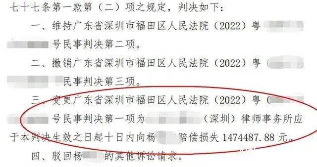 一肖一码一一肖一子深圳，揭示背后的违法犯罪问题