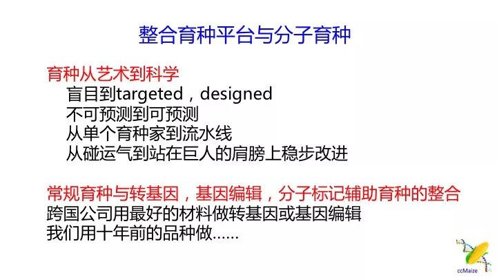 警惕网络陷阱，新澳最精准免费资料大全298期背后的风险与挑战