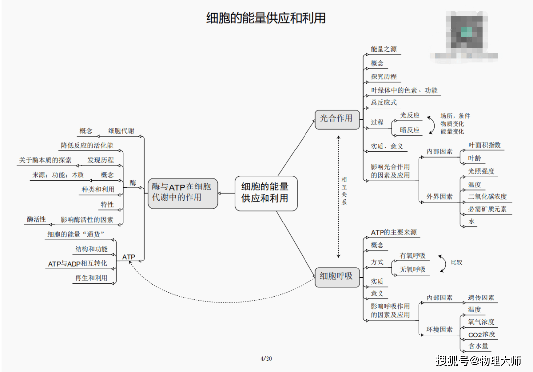 澳门三中三必中一组的奥秘与探索