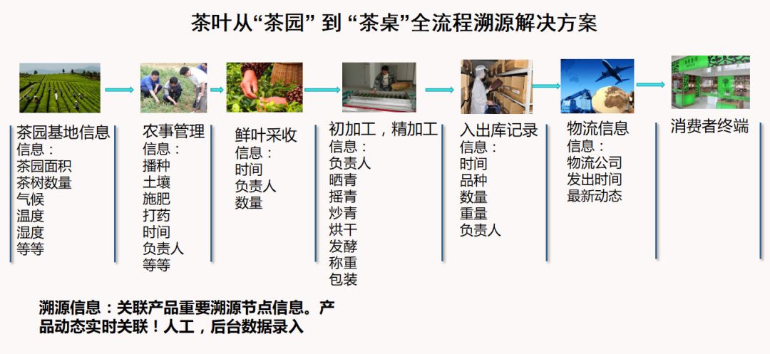 澳门一码一肖一恃一中与犯罪预防的重要性