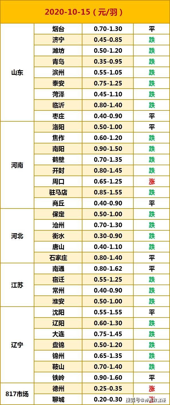 探索新奥门，揭秘免费资料的独特价值（2024年展望）