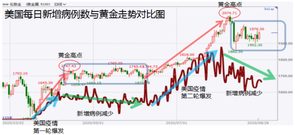 美国最新病例动态，深度分析与展望