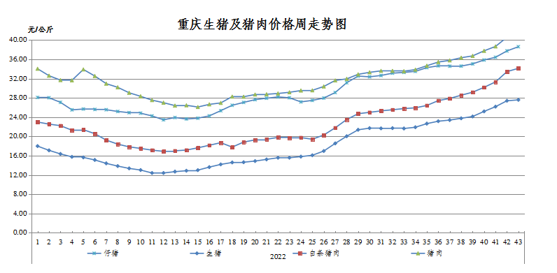 最新重庆肉价动态分析