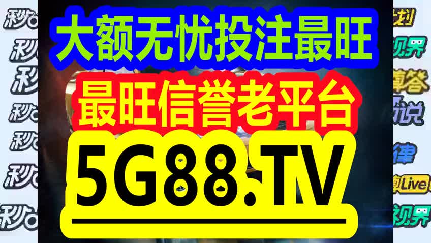 管家婆一码一肖与术语释义解释落实