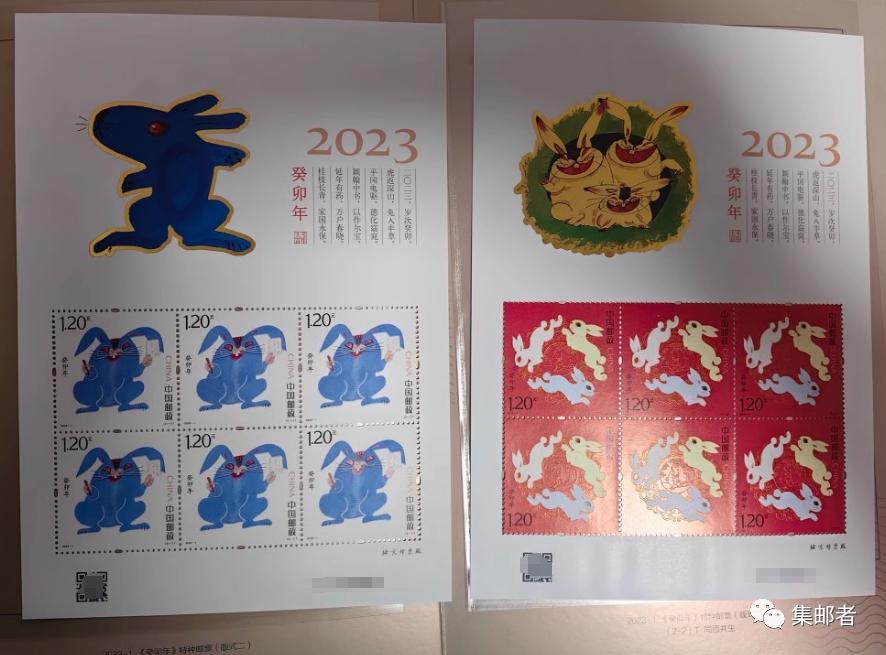 揭秘2024年十二生肖与49码图的奥秘，权治释义与落实之道