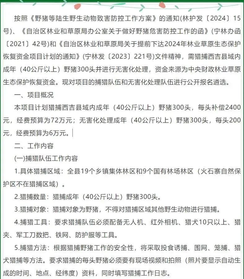 澳门精准正版免费与改善释义解释落实，犯罪行为的探讨与应对