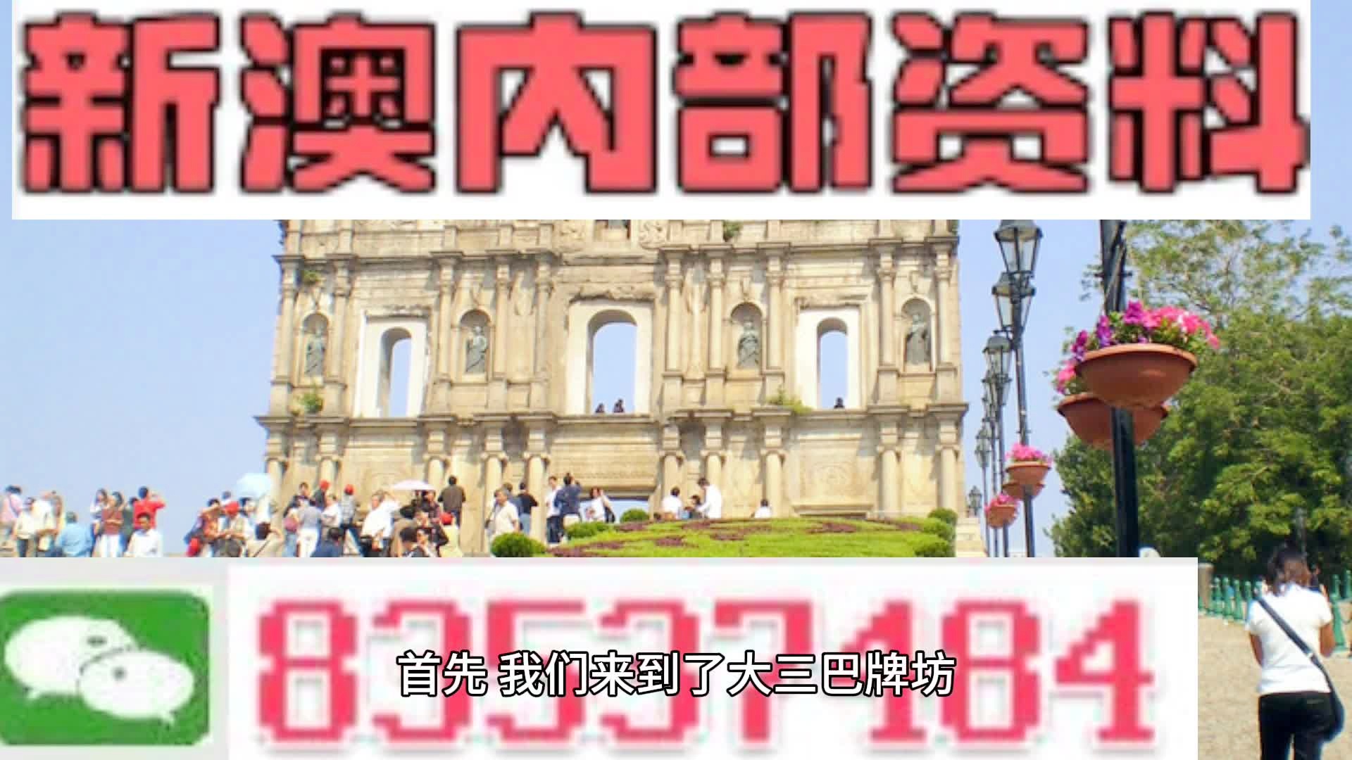 新澳2024正版资料免费公开与力培释义解释落实