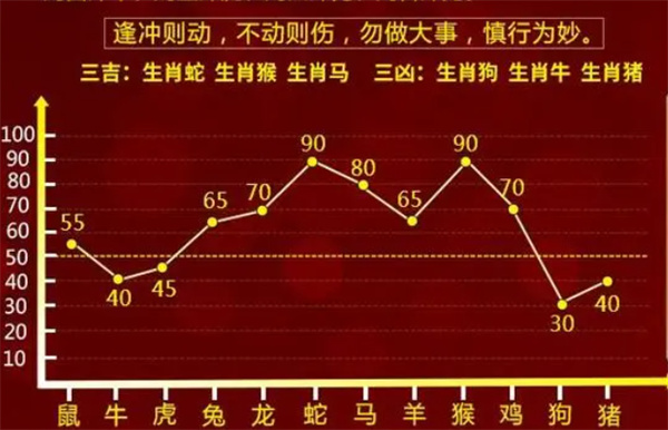 一肖一码一特一中，化分释义、解释与落实