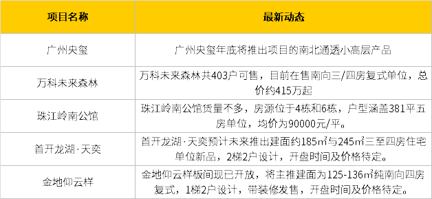 新奥之夜，探索未来开奖号码与变化释义的落实之路