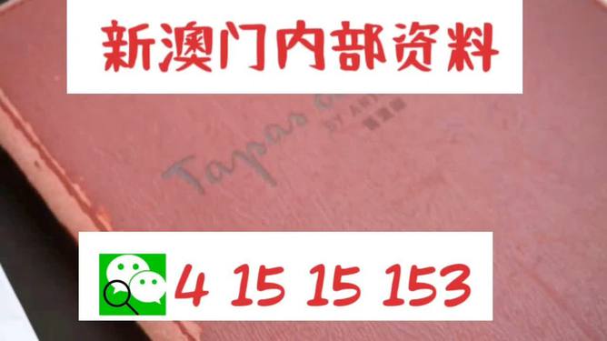 澳门内部最准资料与坦荡释义，探索、解释与落实