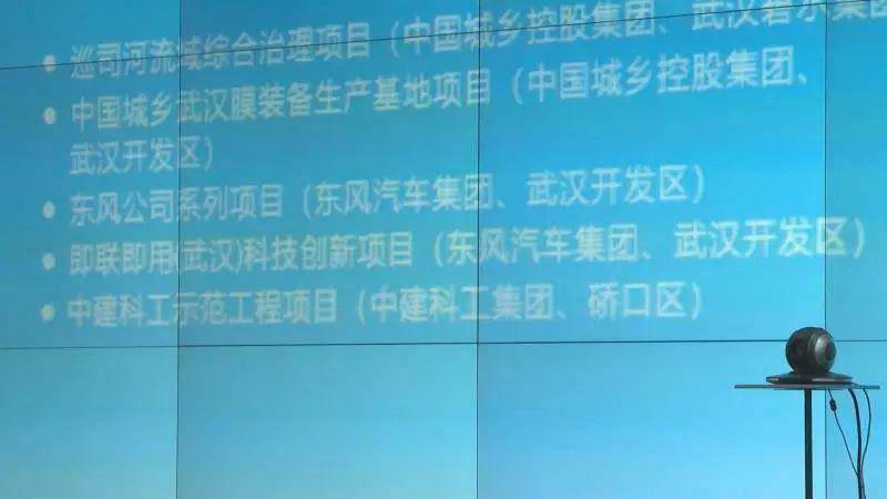 探索新澳门正版免费资本车与机敏释义的真谛——落实法治社会的挑战与机遇