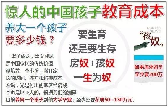 新澳好彩天天免费资料——揭示背后的真相与应对之道