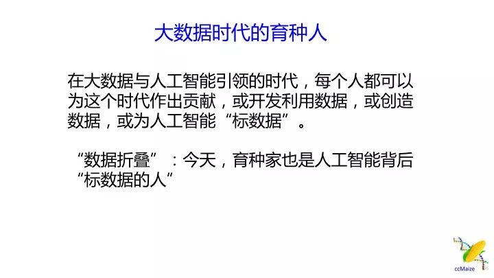 澳门三期内必开一肖与稳健释义解释落实——揭示背后的风险与挑战