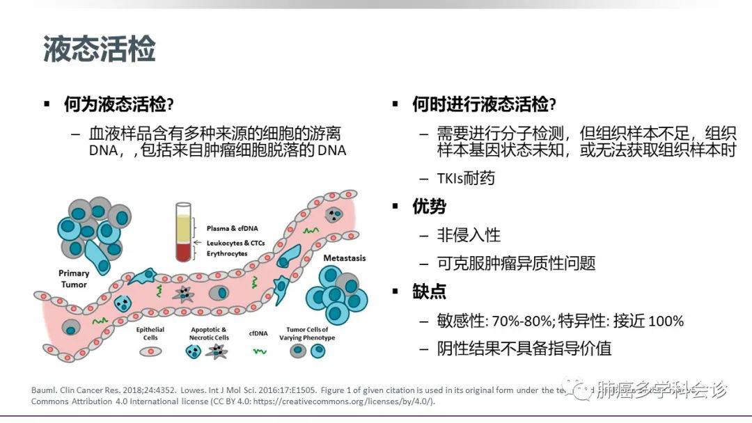 关于武肺的最新研究与进展