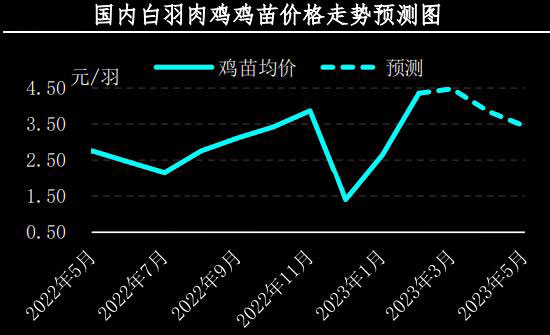 雏鸡最新价格动态及相关市场分析